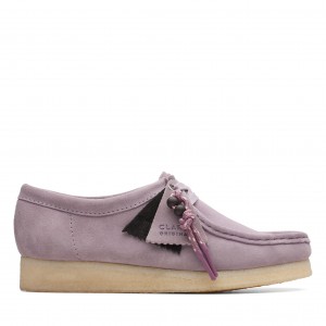 WALLABEEW MAUVE SUEDE