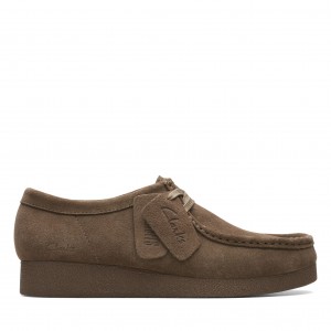 WALLABEEEVOW OLIVE SDE