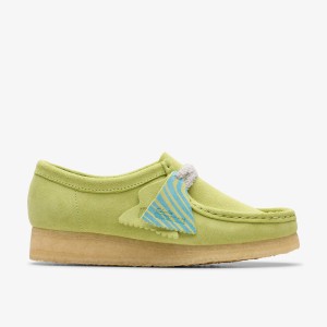 WALLABEEW PALE LIME SUEDE