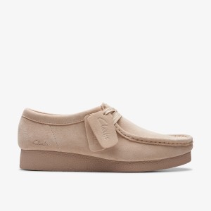 WALLABEEEVOW SAND SUEDE